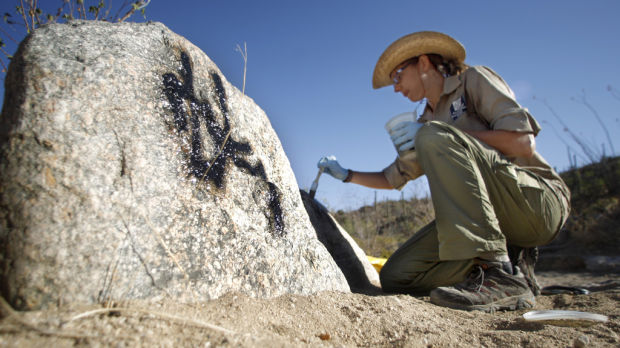 Teen arrested as Saguaro Park vandal